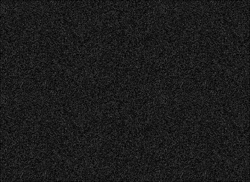 [Image: 2778.gif]